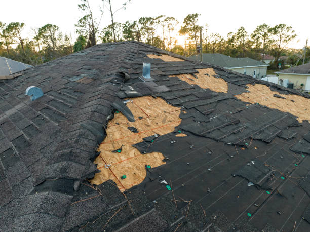 Best Gutter Installation and Repair  in Fitzgerald, GA