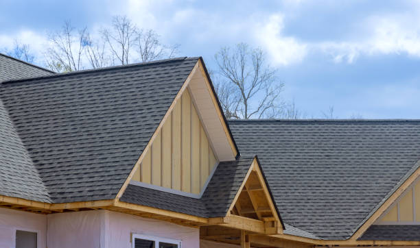 Best Roof Replacement  in Fitzgerald, GA